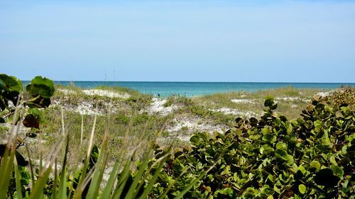 Scenic view of sea against clear sky