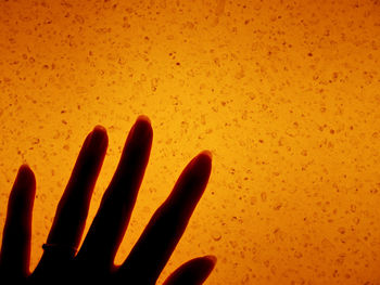 Close-up of hand against orange background