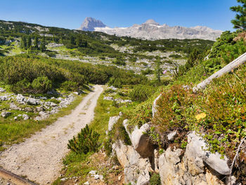 Panoramic view of landscape against sky