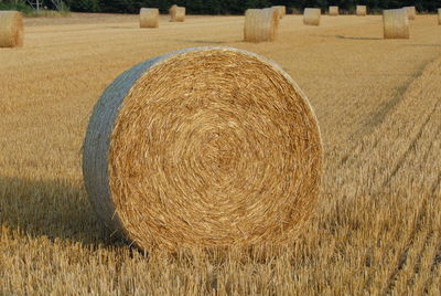Hay bales on field