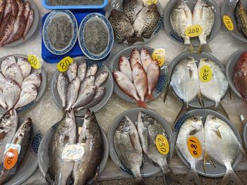 High angle view of fish for sale in market