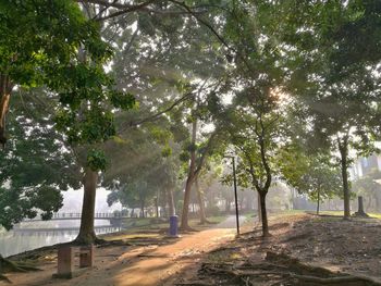 Trees in park