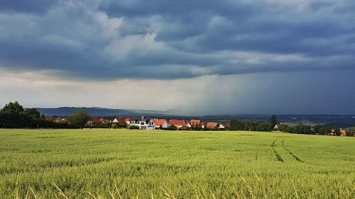 Scenic view of field against sky