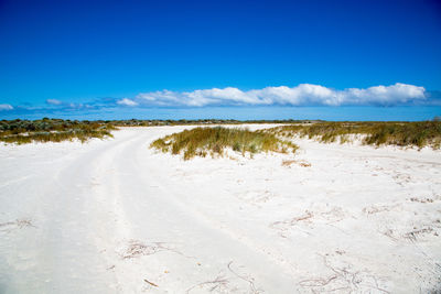 Scenic view of beach against blue sky