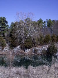 Scenic view of lake against clear sky