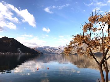 Scenic view of lake by trees against sky