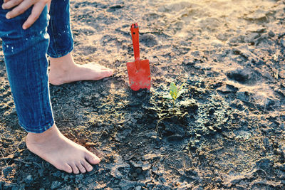 Low section of person planting on field