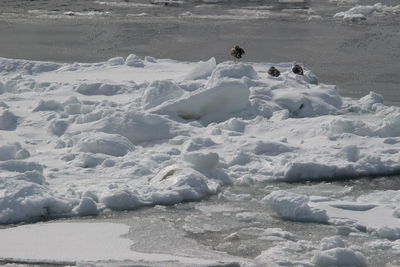 Scenic view of frozen sea during winter