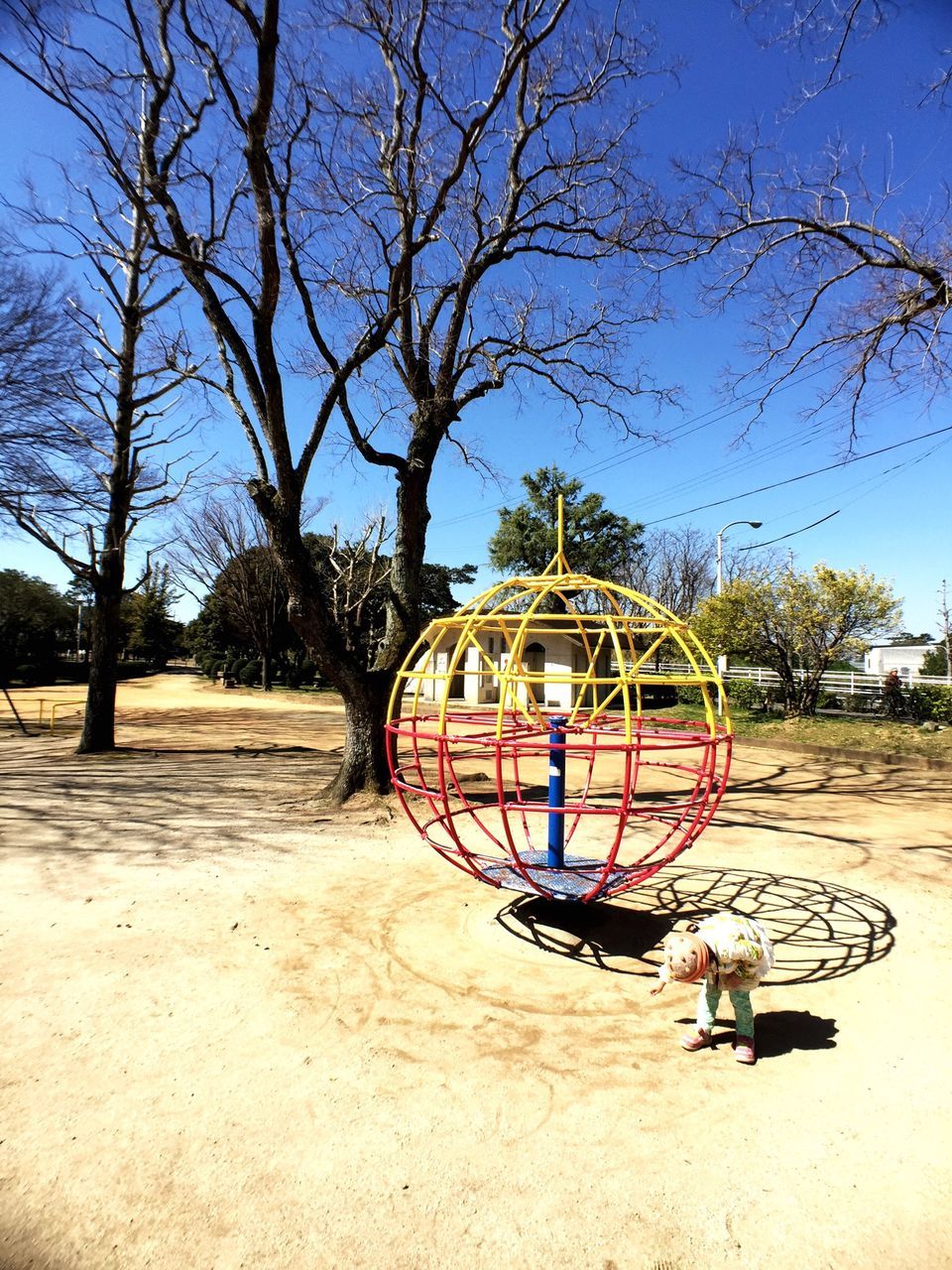 tree, blue, bare tree, transportation, sky, mode of transport, stationary, bicycle, day, outdoors, sunlight, land vehicle, wheel, playground, circle, shadow, no people, clear sky, absence, childhood