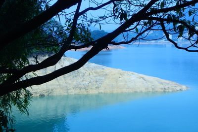 Reflection of trees in water