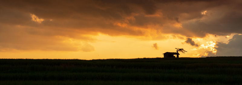 Scenic view of field against sky during sunset