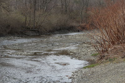 Close-up of water