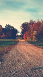 Road passing through forest