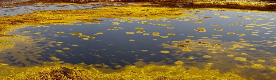 Panorama of surreal colors created by sulphur springs in the hottest place on earth, ethiopia.