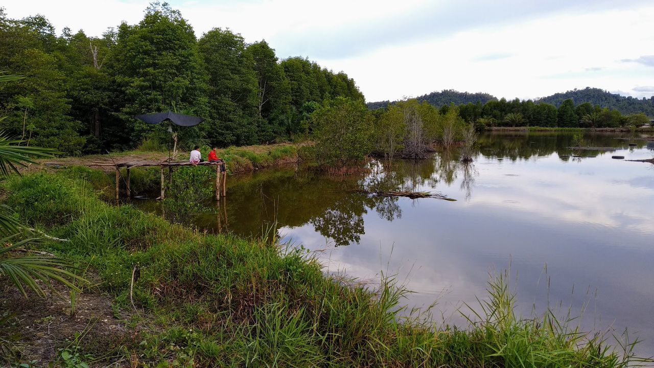 SCENIC VIEW OF LAKE AGAINST TREES