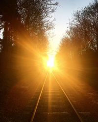 Sun shining through trees during sunset