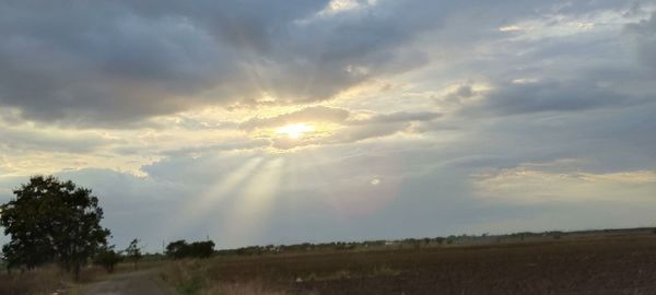 Sunlight streaming through trees on field against sky at sunset