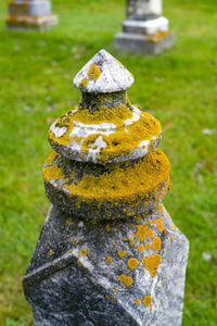 Close-up of moss growing on cemetery grave monument