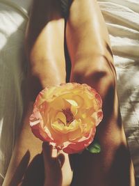 Low section of woman holding flower in bed