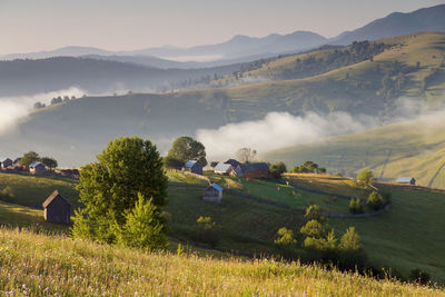 Scenic view of agricultural field against sky