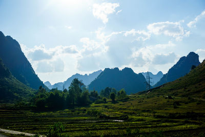 Scenic view of agricultural landscape against sky