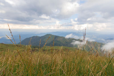 Scenic view of land and mountains against sky