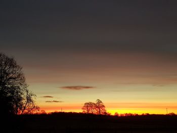 Silhouette trees on field against sky at sunset