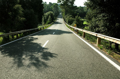 Road passing through trees