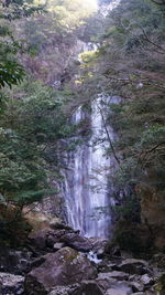 Scenic view of waterfall in forest against sky