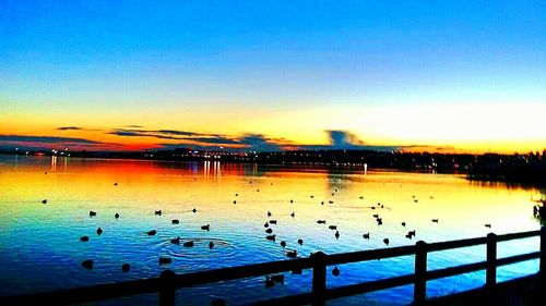 View of birds in calm sea at sunset