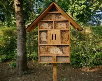 Close-up of insecthouse on tree against building