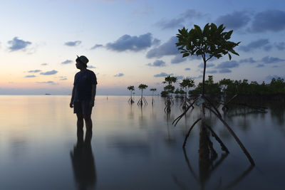 Rear view of silhouette man standing by tree against sky