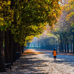 Rear view of man walking in park