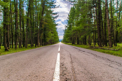 Road passing through forest