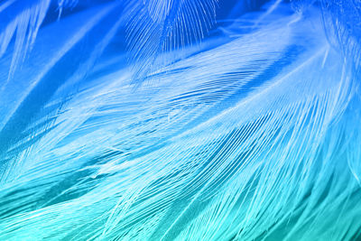 Green turquoise and blue color trends chicken feather texture background