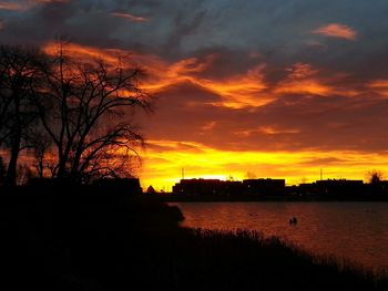 Silhouette of trees at sunset