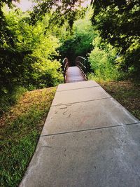 Road amidst trees against sky