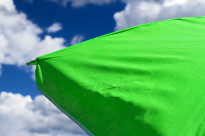 Low angle view of green leaf against sky