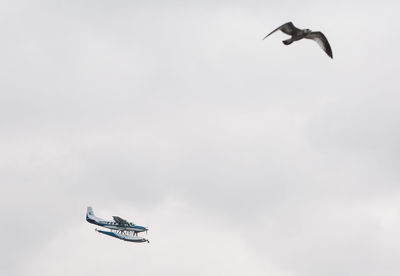 Low angle view of airplane and bird flying against sky