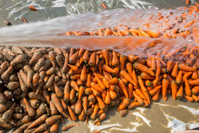 High angle view of bread on shore