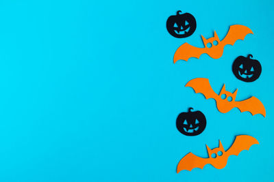Close-up of fish against blue background