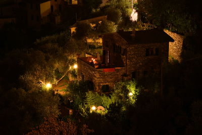 High angle view of houses and trees at night