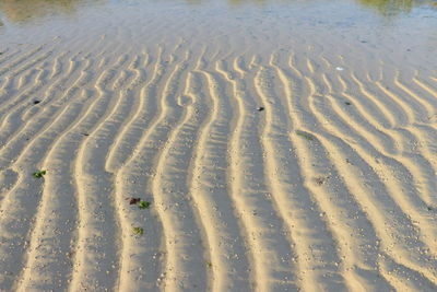 Full frame shot of wet sand