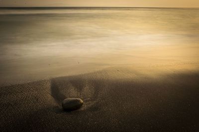 High angle view of stone at beach