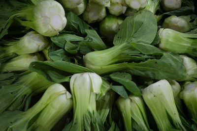 Full frame shot of green vegetables at market stall