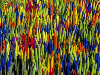 Full frame shot of multi colored background