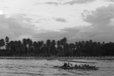 Scenic view of palm trees on shore against sky