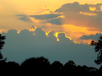 Silhouette of trees at sunset