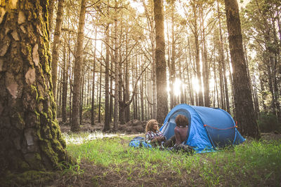 View of tent in forest