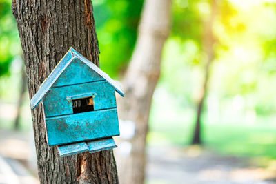 Close-up of birdhouse on tree trunk